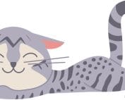 Tekening van een liggende gelukkige poes