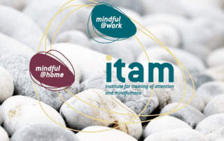 screenshot website Itam